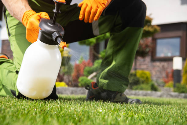 Trusted Laguna Woods, CA Pest Control Experts