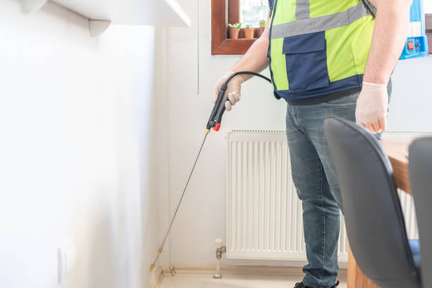 Best Wasp Removal Services  in Laguna Woods, CA