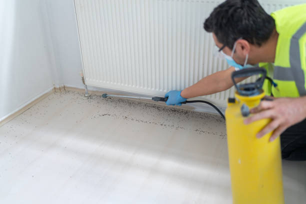 Best Bed Bug Extermination  in Laguna Woods, CA