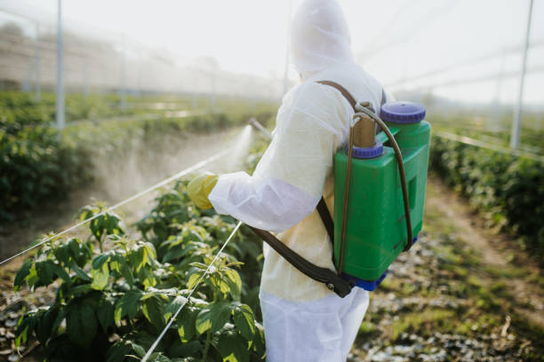 Pest Control for Restaurants in Laguna Woods, CA